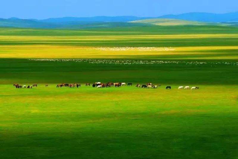 {老虎機}(中国最美的100个地方 电子书)